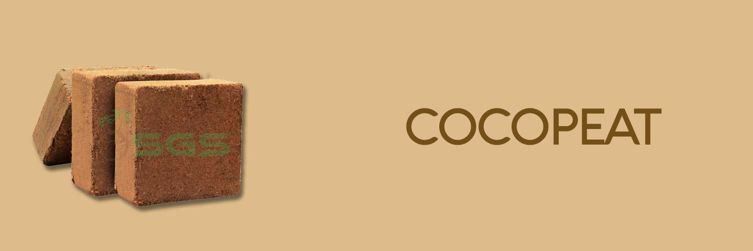 cocopeat exporter