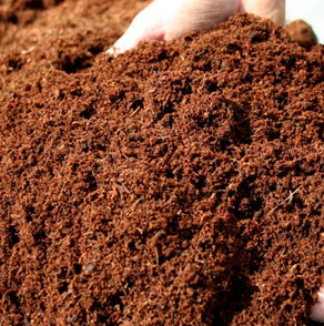 cocopeat exporters